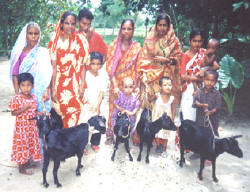 A family and their goats